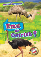 Emu_or_ostrich_