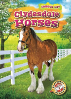 Clydesdale horses