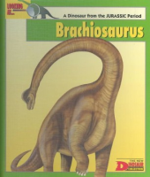 Looking_at--_Brachiosaurus